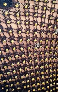 روسری توری و اشارپ