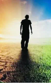 اعتیاد بی اعتیاد