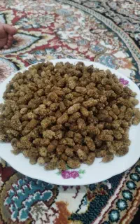 توت قره داغ