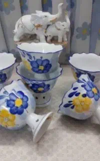 بستنی خوری گل پنبه‌ای