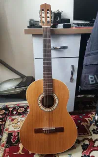 گیتار پارسی m5
