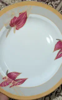 ۶دست بشقاب گل قرمز ۶دست بشقاب دور ابی گلدار