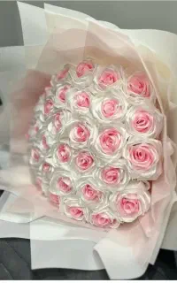 سفارشات هم قبول میکنم