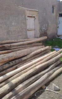 خرید چوب سقفی سالم در محل شما