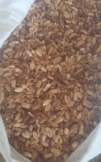 بادام زمینی برشته شده