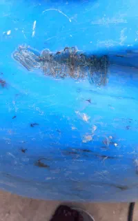 فایبرگلاس سیار