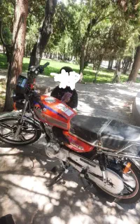 گچکاری کاشی سرامیک کار مهندسی تضمینی بانمونه کار