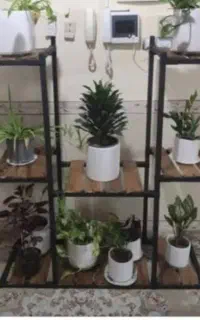 استند و شلف گل و طراحی رگال ویژه نوروز ۰۵