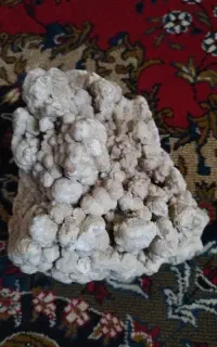 سنگ گول کلمی