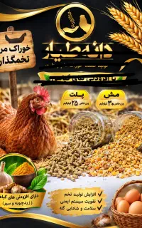 خوراک دان مرغ بومی وصنعتی