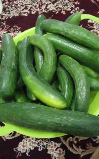 خیار