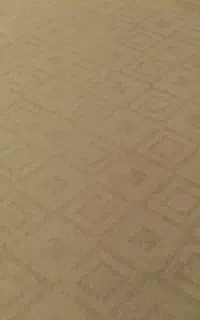 ۱۱۰ متر موکت در حد نو