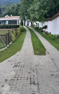 سرایدار ویلا