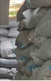 فروش چایی بهاره درجه یک