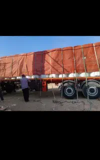 فیش مسکن