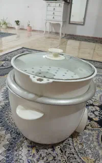 ارام پز بخار پز