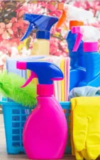 همکار خدمات خانم برای خانه بازی