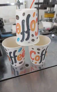 یکبار مصرف