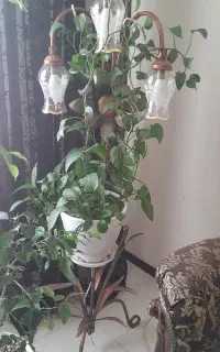 گل طبیعی