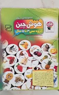 هوش چین