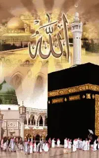 فیش حج