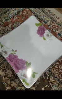 ظروف چینی