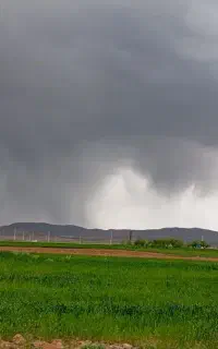 جو پاییزه درجه یک
