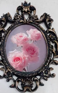 تعدادی دیوار کوب