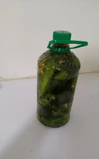 خیار شور