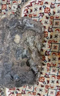 دوعدد شهاب سنگ اصلی