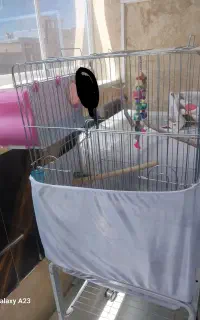 قفس پایه دار