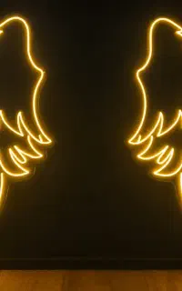 بال فرشته نئونی