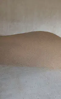 دان پلیت