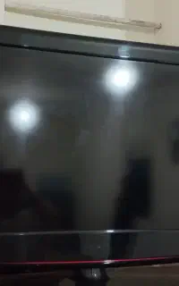 تلوزیون