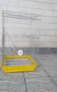 قفس پرنده