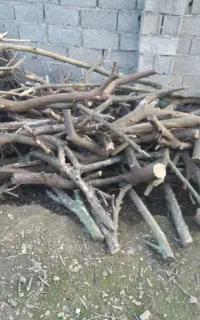 یک تن چوب مرکبات آماده بارگیری