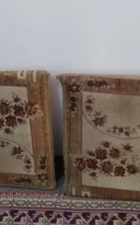 پشتی