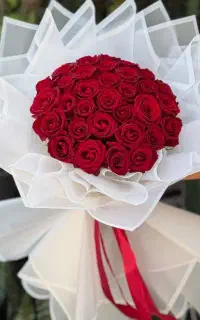 رز ۴۰ شاخه