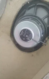 باد پایونر