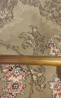 کمانچه پشت‌باز ( لری)