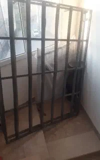 یک جفت فرش شش متری ویم جک تخت