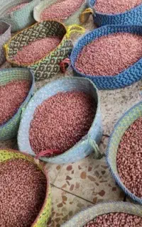 بادام زمینی ممتاز آستانه