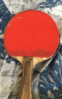 راکت تنیس روی میز FRIENDSHIPاصل