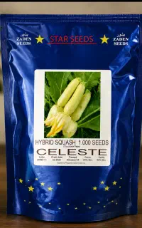 بذر کدو سبز هیبرید CELESTE کیفیت درجه۱ بانمونه کشت