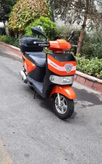 کانگرو جهانرو مدل ۹۹، بسیار کم‌کارکرد و تمیز