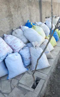 کود کبوتر