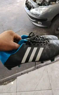 کفش اصل ورزشی معاوضه با پرنده