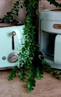 سرخکن بدون روغن
