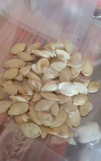 کدو