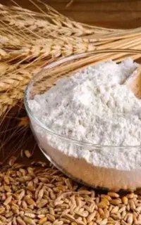 گندم و آرد (گندم امید)  به شرط پخت